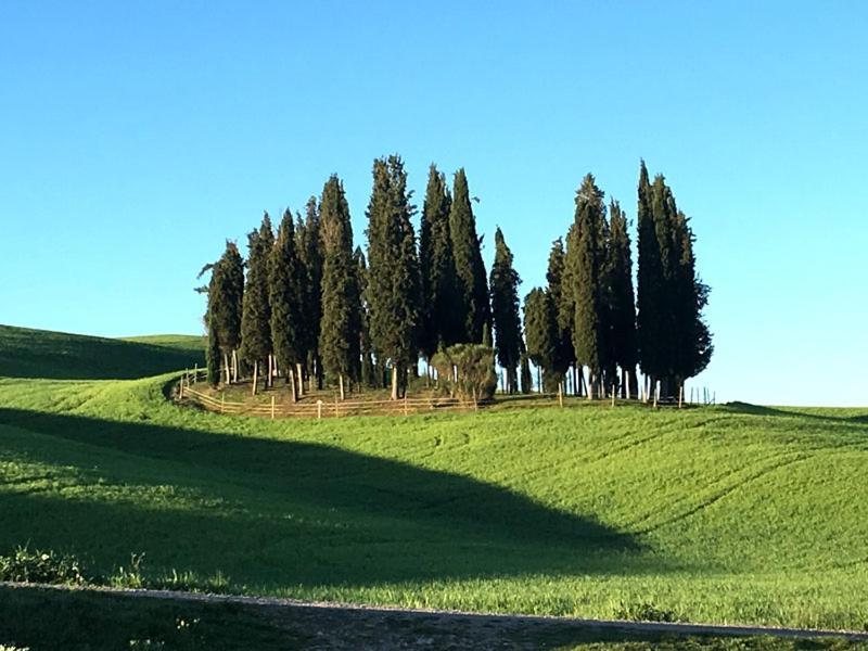 شقة Finestra Sulla Val D'Orcia San Quirico dʼOrcia المظهر الخارجي الصورة